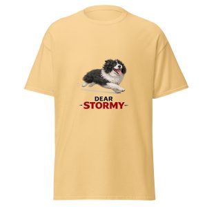 Dear Stormy T-Shirt