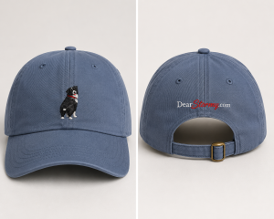 Stormy Embroidered Hat